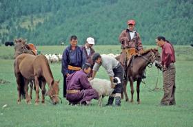 Raid Equestre Mongolie Randscouts et Randguides