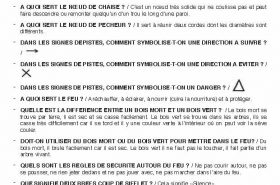Questions réponse activités