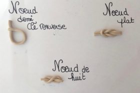 Par Appoline